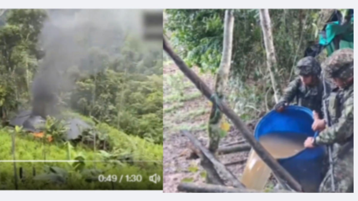 Destruyen cinco laboratorios para procesamiento de cocaína que le pertenecían al 'clan del Golfo' en Antioquia: operativo, en el municipio de San Luis