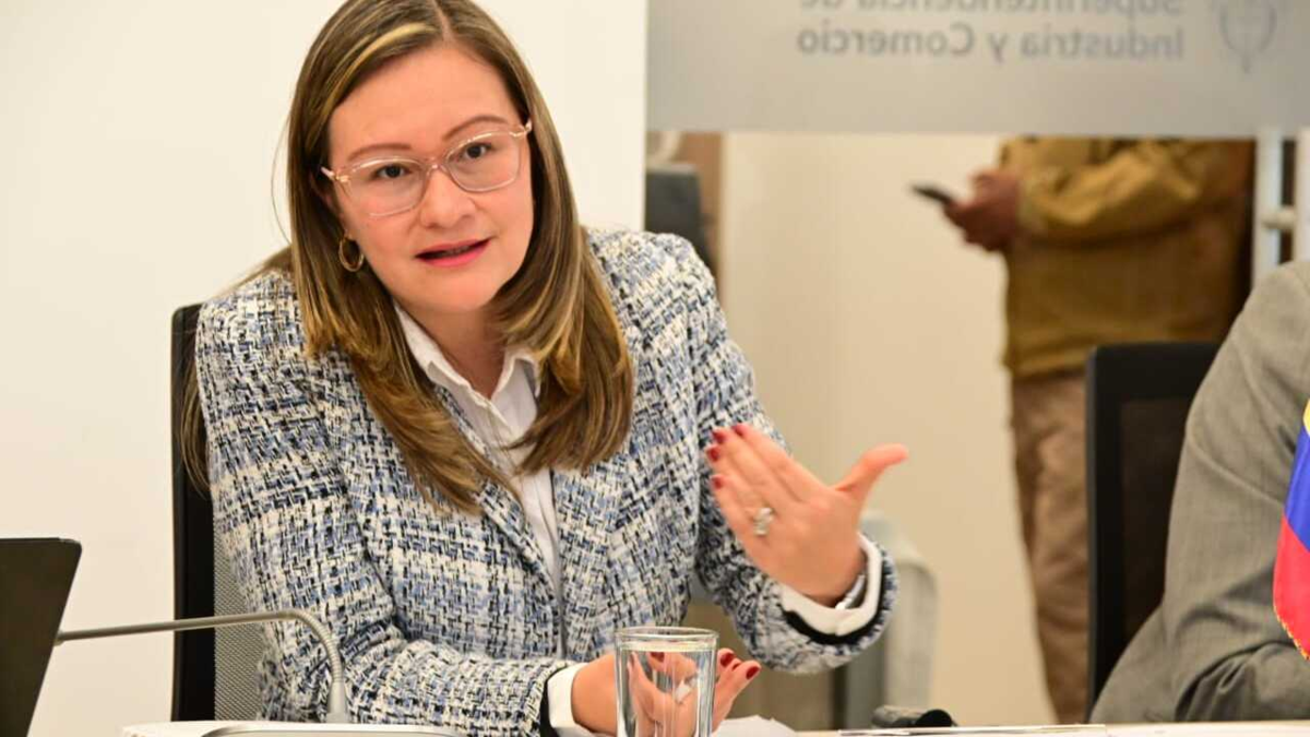 Los dos estudiantes de Derecho que lograron anular nombramiento de Cielo Rusinque en la SIC