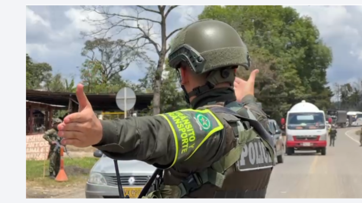 Así fueron operativos con 40 capturas en 11 días en Cauca: 'En vía Panamericana hay presencia y control permanente'; congresista pide más acciones
