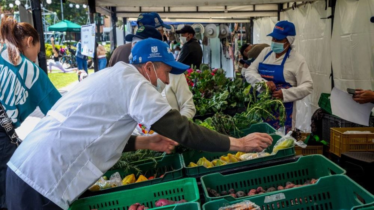 Radiografía de la seguridad alimentaria en Colombia: el país reduce el hambre extrema, pero persiste desabastecimiento en Chocó, Sucre y La Guajira