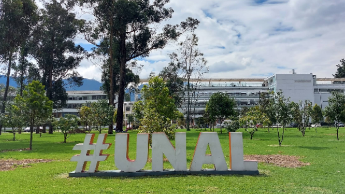Las medidas de la Universidad Nacional para terminar el semestre y retornar a la normalidad académica