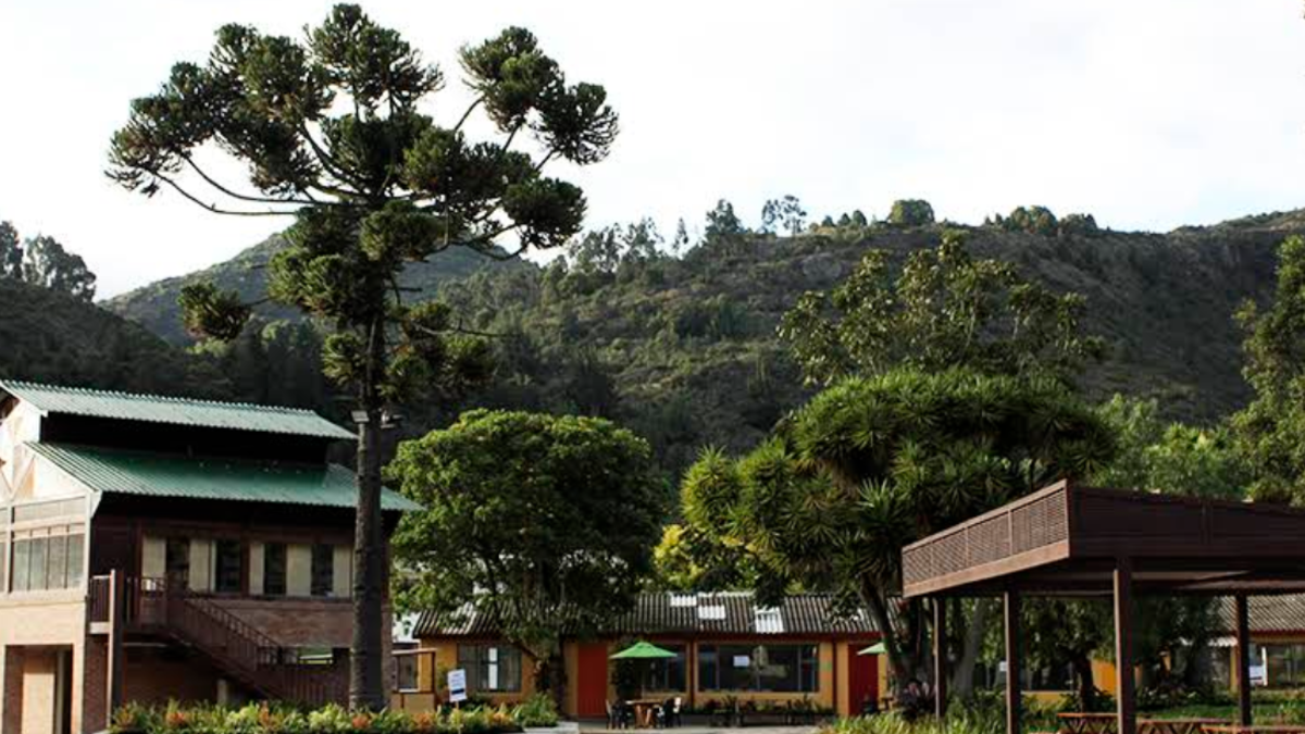 SuperSociedades admite a reorganización al Colegio Refous Roland Jeangro S.A.S.