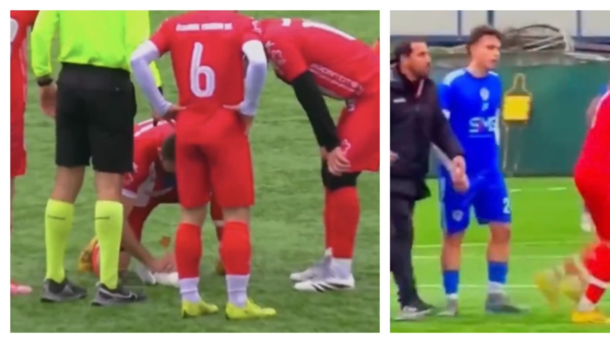 Milagro en la cancha: una gaviota es impactada por un balonazo en pleno partido y un jugador le da reanimación para salvarla; el video se hace viral