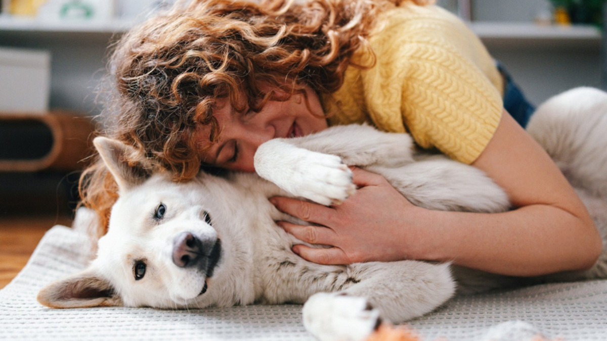 ¿Cuáles son las enfermedades más frecuentes en perros y cómo prevenirlas desde casa? Señales tempranas para actuar a tiempo