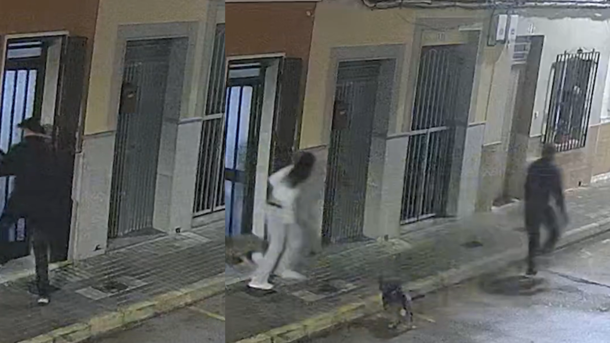 Video | Perro evitó que su dueña fuera secuestrada en España al morder a uno de los atacantes: ‘Vente conmigo’