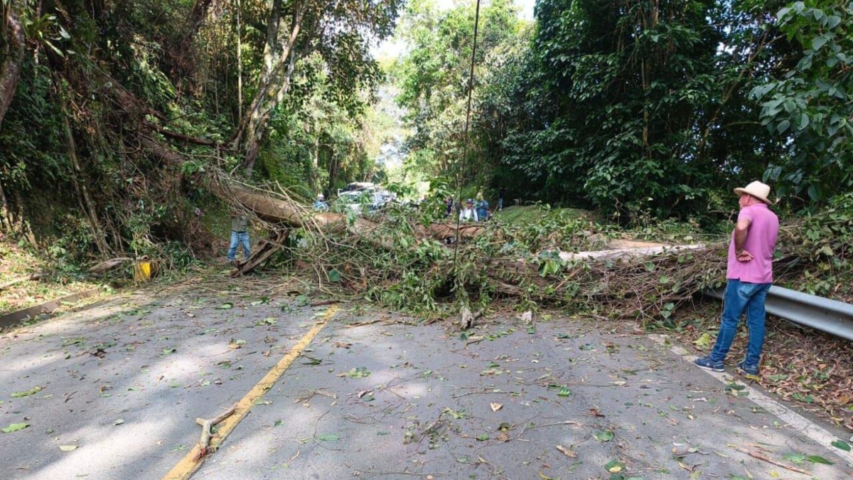 Fuertes lluvias en Colombia dejan más de 30 afectaciones viales en nueve departamentos: estos son los puntos con cierres y pasos restringidos