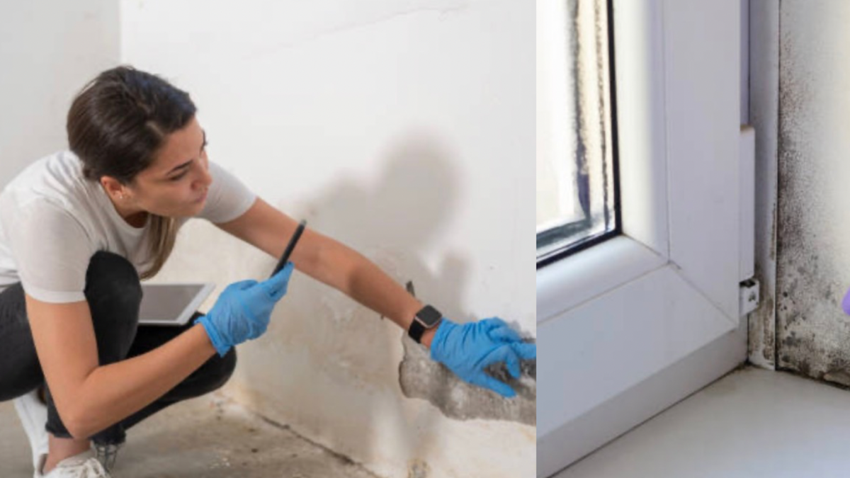 Así puede detectar si su casa tiene humedad o si los hongos son por tubería: paso a paso