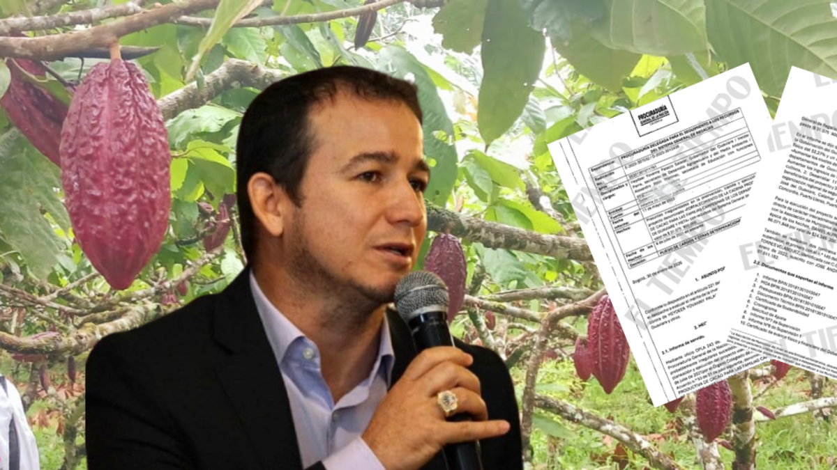 Los argumentos en el pliego de cargos contra exgobernador del Guaviare por fallas en proyecto cacaotero: más del 64 % de campesinos lo abandonó