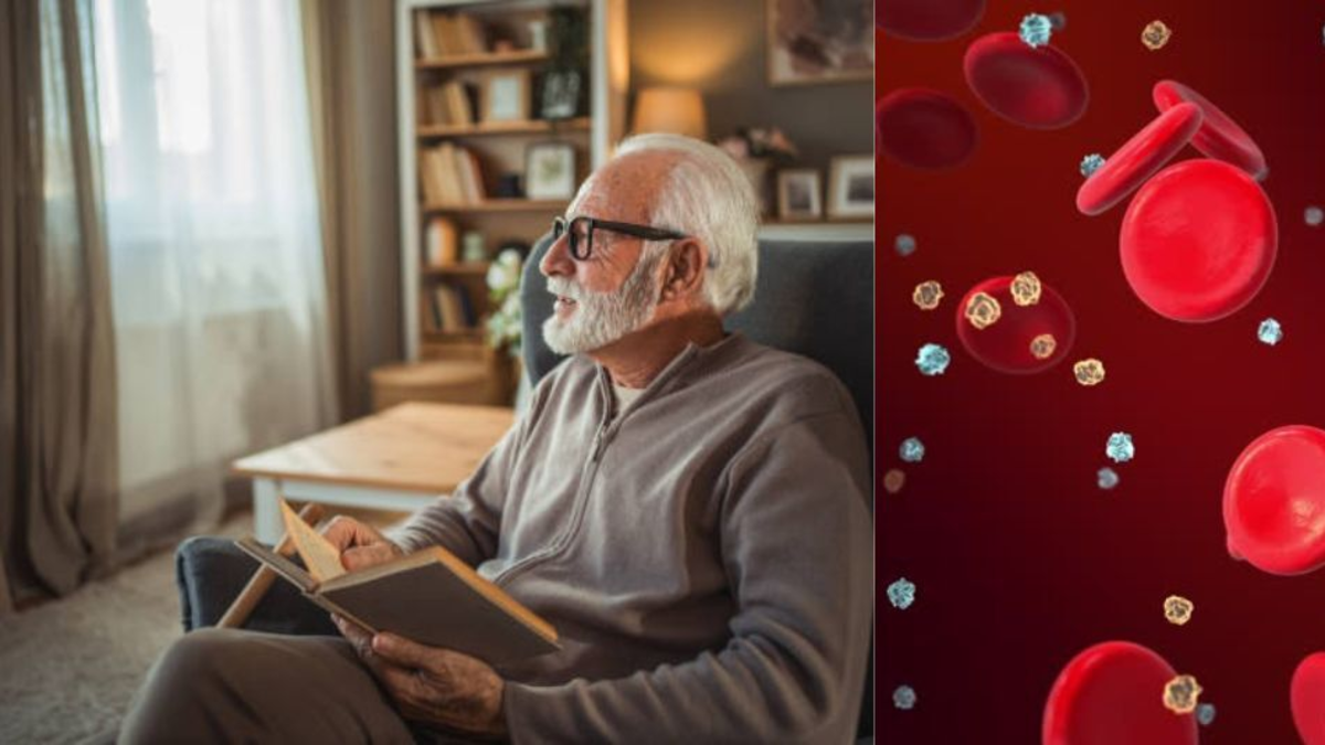 Descubren proteínas que estarían asociadas con un envejecimiento más lento