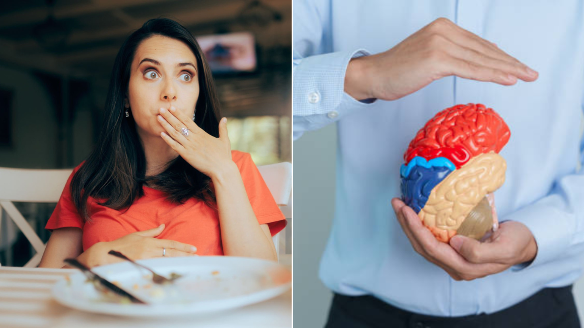 ¿Por qué sigue comiendo aunque ya se sienta lleno? Un estudio analiza el papel del cerebro y señala que no es solo cuestión de voluntad