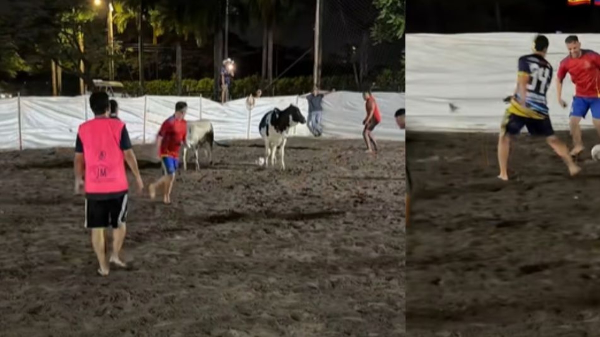 Ciudadano español jugó al fútbol llanero, descalzo y junto a vacas: ‘Eso no lo va a necesitar’