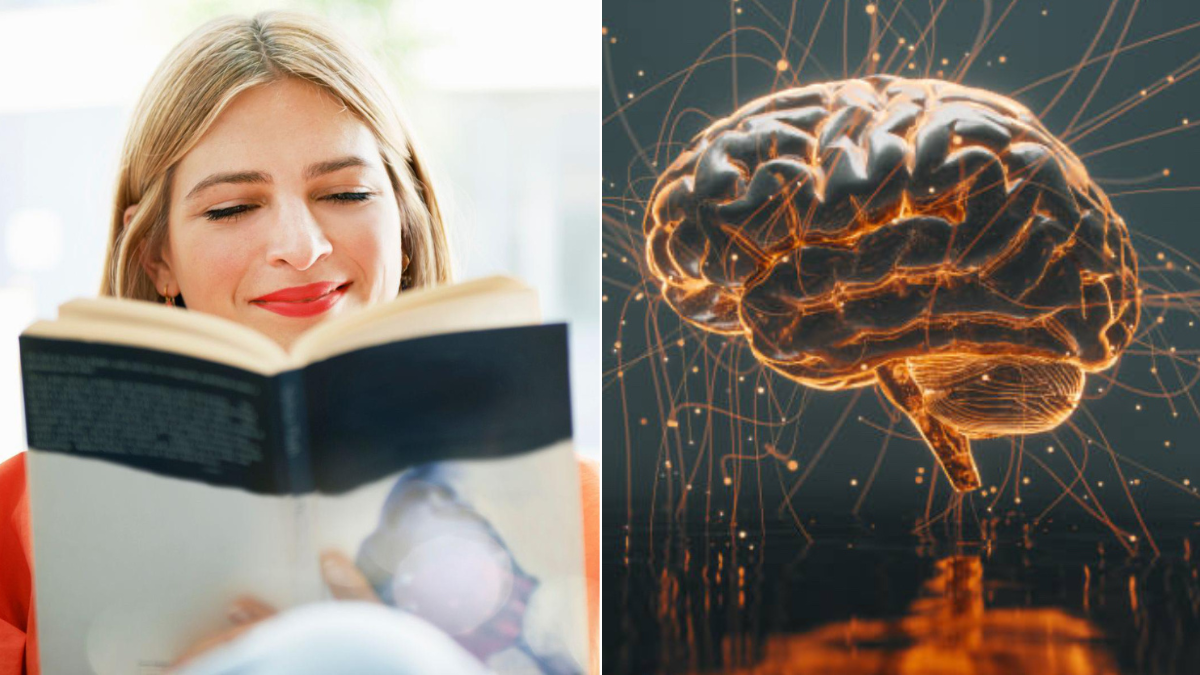 ¿Por qué releer un libro mejora la memoria? Descubra cómo la lectura transforma el cerebro