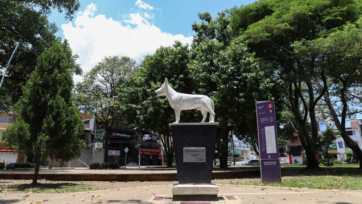 Tribunal ratifica decreto que prohíbe consumo de sustancias psicoactivas en parques y entornos escolares de Cali