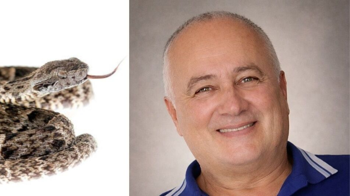 Tragedia en Amalfi: hermano del cantante Horacio Grisales fallece tras el ataque de una serpiente en zona rural de Antioquia