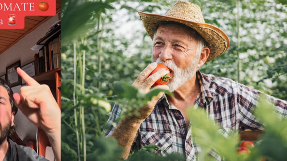 El médico Camilo Echeverri recomienda comer un tomate al día y explica sus beneficios: 'Verás todos los cambios que se van a producir en tu cuerpo'