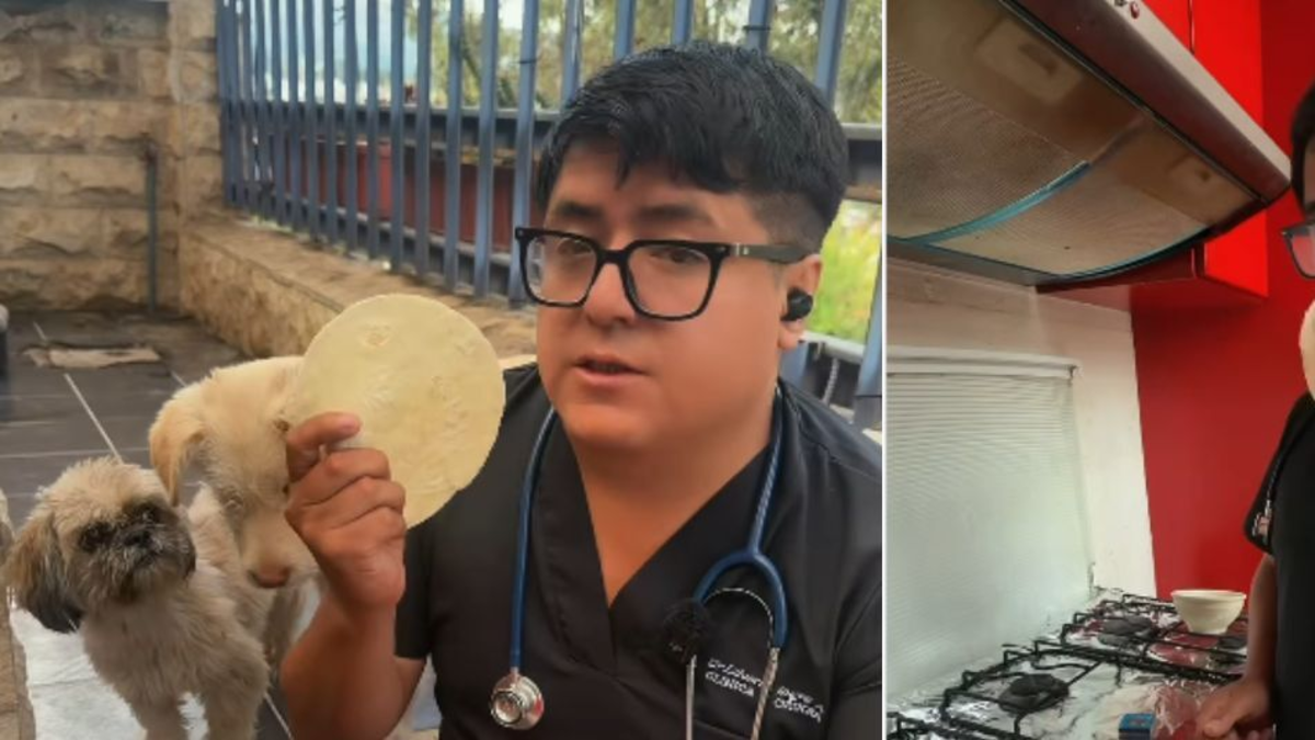 Veterinario comparte antídoto casero para casos de envenenamiento de perritos y gatos: ‘Una tortilla les salva la vida’