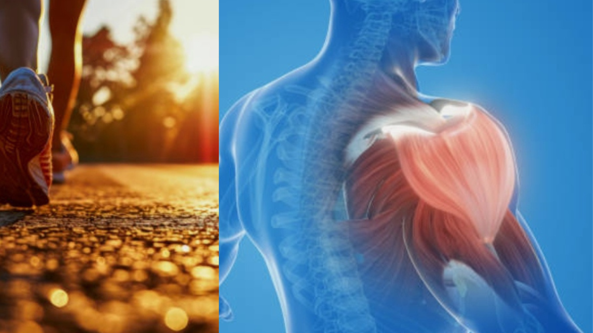 ¿Está comenzando en el mundo del running? Esto debe tenerse en cuenta para fortalecer los músculos y evitar errores en el uso de la indumentaria