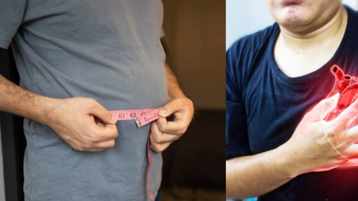 ¿Barriga? Estudio revela la precisión de un infarto, según la cantidad de grasa visceral y en el estómago