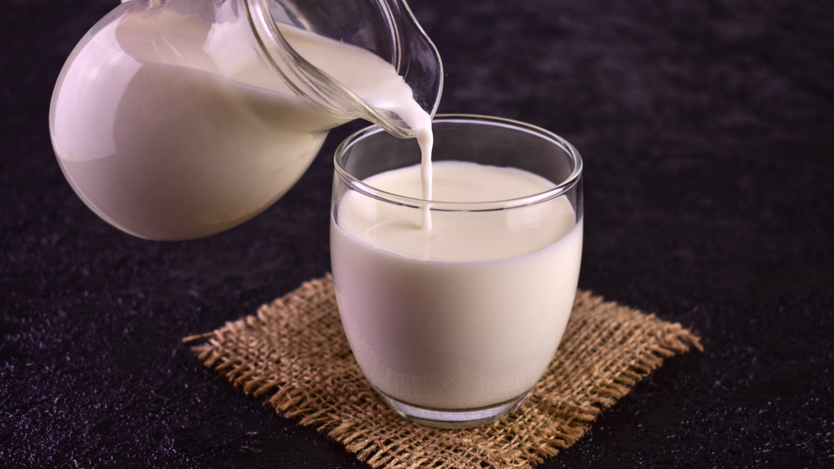 ¿Es buena la leche entera? Estos son sus beneficios, riesgos y aporte nutricional, según expertos