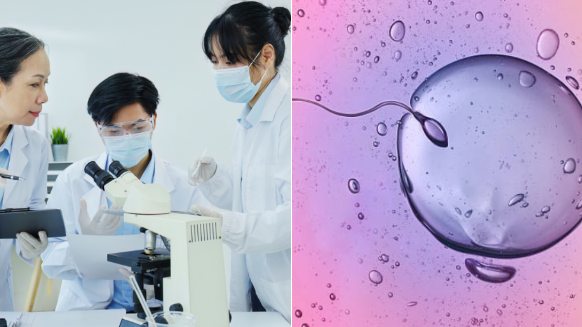 ¿Eyacular con frecuencia podría mejorar la fertilidad? Un estudio analiza su efecto en la calidad del esperma