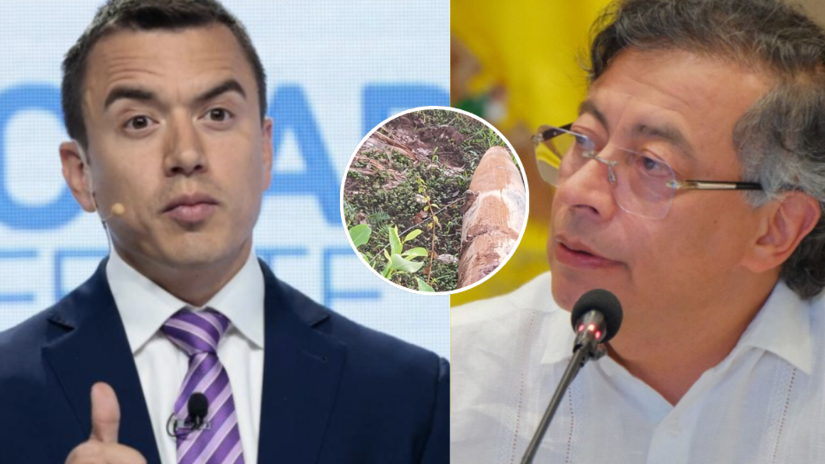 Ministerio de Defensa de Ecuador se pronuncia frente a versiones sobre bombardeo en la frontera con Colombia: 'No correspondía a una granja lechera'