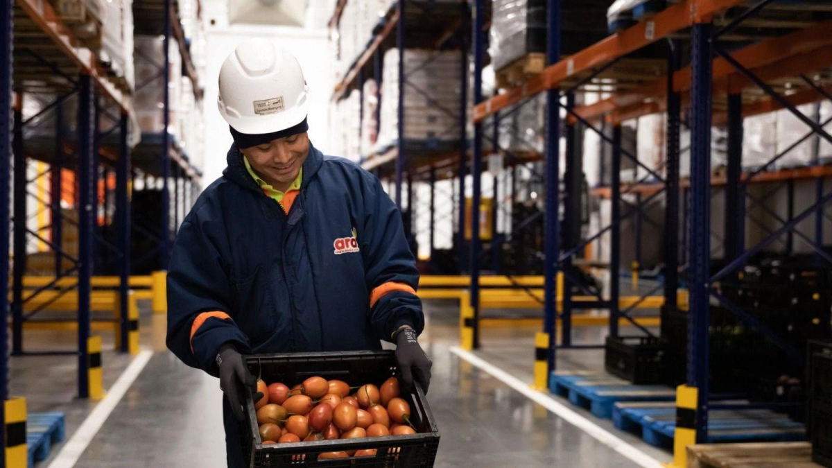 ¿Qué debe hacer una pequeña o mediana empresa para convertirse en proveedor de grandes empresas en Colombia?