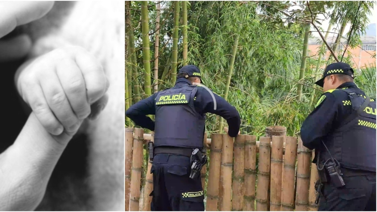 Hallan a un bebé prematuro sin vida en un andén en Antioquia: un vecino escuchó los gritos de una mujer la noche anterior; investigan qué ocurrió