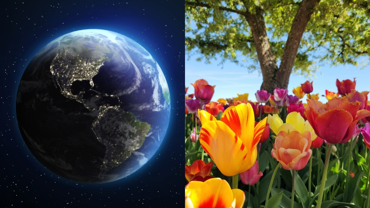 Equinoccio de primavera en 2026: ¿por qué el día y la noche durarán casi lo mismo? Conozca los efectos del fenómeno