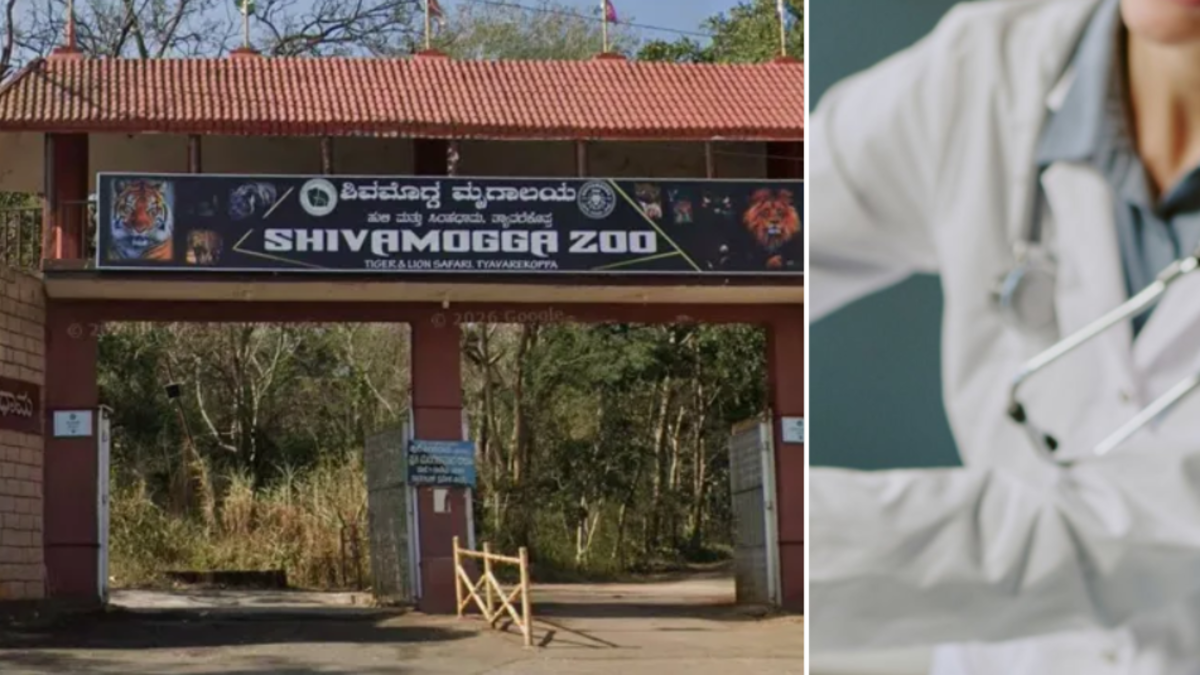 Estudiante de veterinaria muere tras ataque de hipopótamo en zoológico de India: llevaba un mes en prácticas