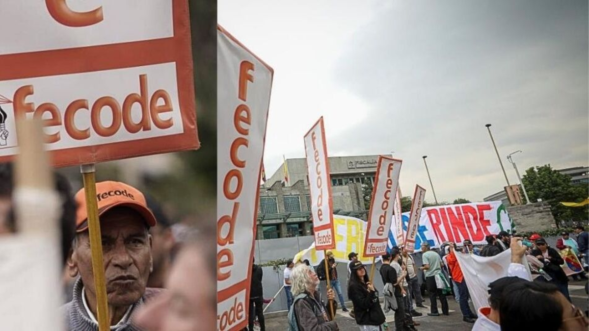 Fecode anunció paro nacional de docentes: esta es la fecha de la jornada de 24 horas que se llevará a cabo en abril en Colombia