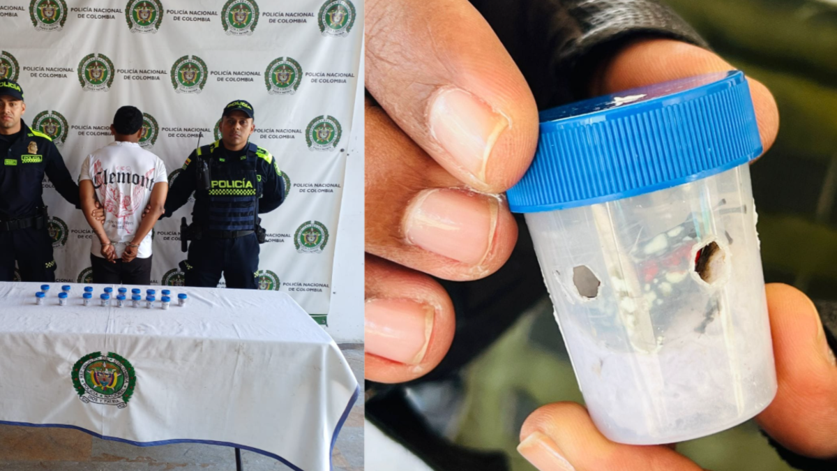 Capturan a un motociclista en el Valle con 17 ranas de una de las especies en alto riesgo de extinción del país: ¿qué hay detrás de su tráfico ilegal?