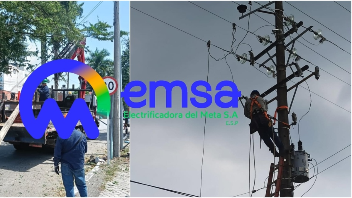 La jugada política de la que acusan al Gobierno para quedarse con el control total de la Electrificadora del Meta: reforma fue frenada por accionistas