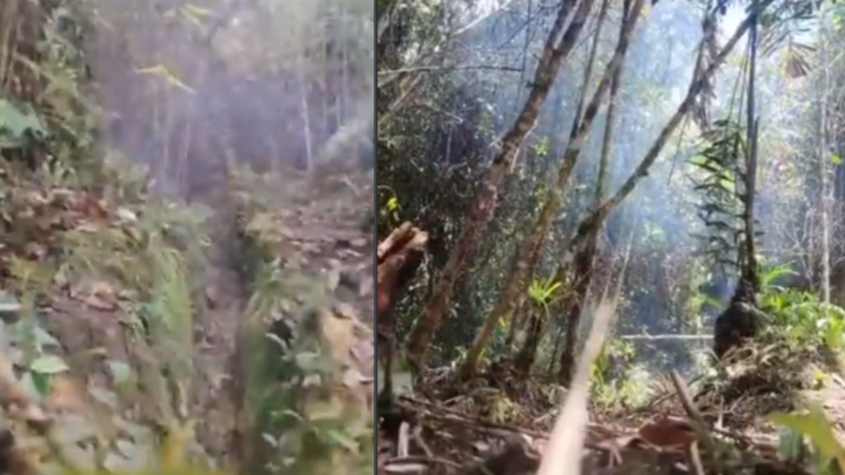 El Ejército evitó nuevos atentados del Eln al desactivar ocho explosivos ocultos cerca de un camino transitado por la comunidad de Anorí, Antioquia