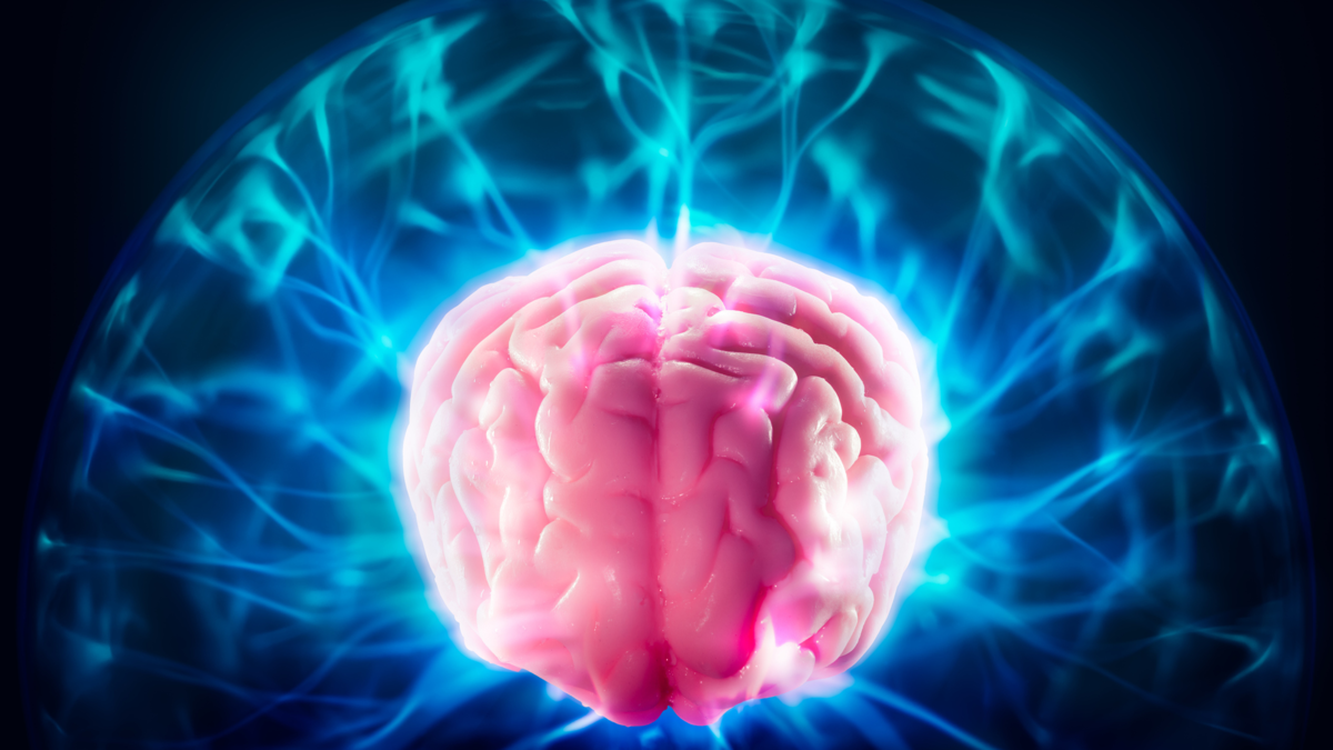 Hay un hábito que reconfigura su cerebro: no son crucigramas ni hacer sudokus