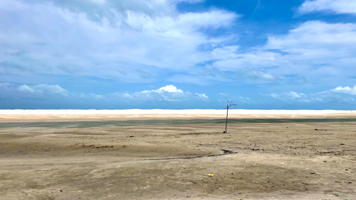 El fenómeno de El Niño amenaza con agravar la inseguridad alimentaria en Centroamérica, advierte la ONU