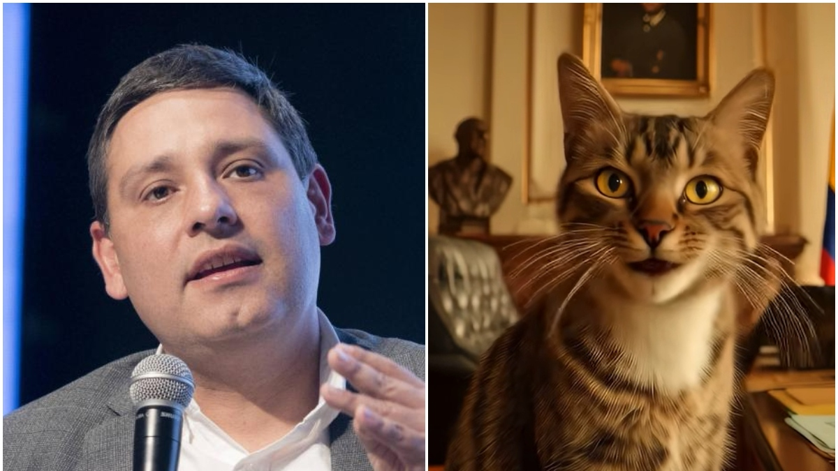 Mauricio Lizcano se convierte en 'michi' para que escuchen sus propuestas: 'Un gatito tiene hasta 300 % más de alcance que el odio'