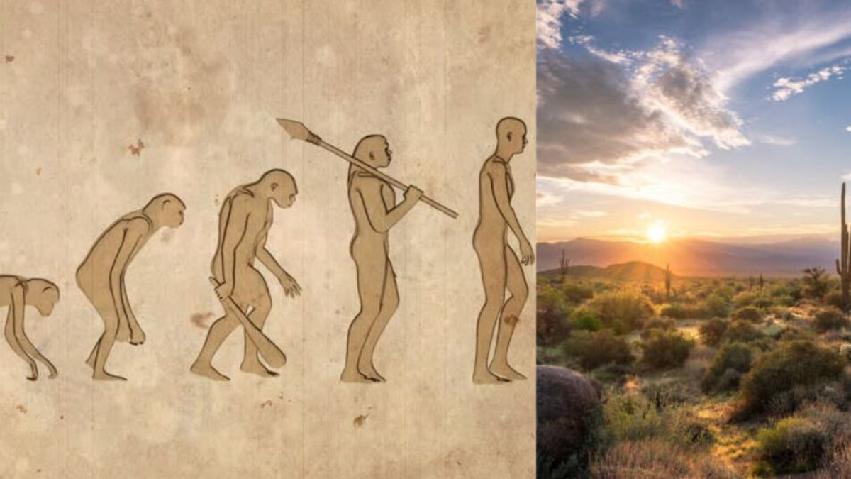 Trivia Maloka | ¿Qué evento climático pudo haber impulsado la salida del Homo sapiens de África? Descúbralo aquí