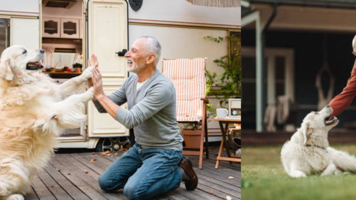 ¿De qué manera tener perro después de los 50 años ayuda en su bienestar emocional y físico, según la ciencia?