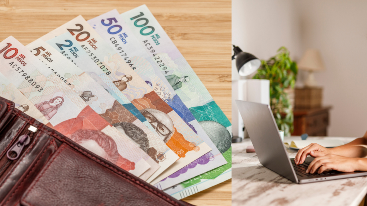 ¿Cómo recibir hasta 800.000 pesos mensuales de la Alcaldía de Bogotá? Requisitos y guía de aplicación paso a paso