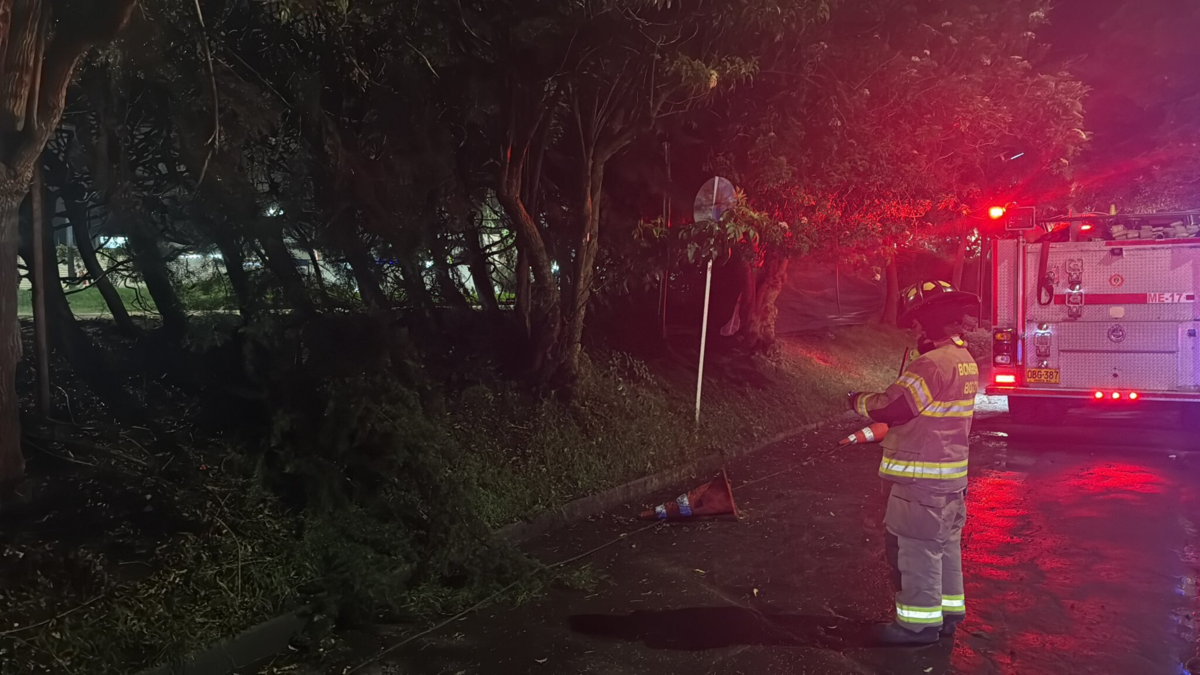 Video | Tras 16 horas desaparecidos, buscan con drones y apoyo aéreo a dos adultos y cinco menores en Monserrate: ¿Están en una cueva?
