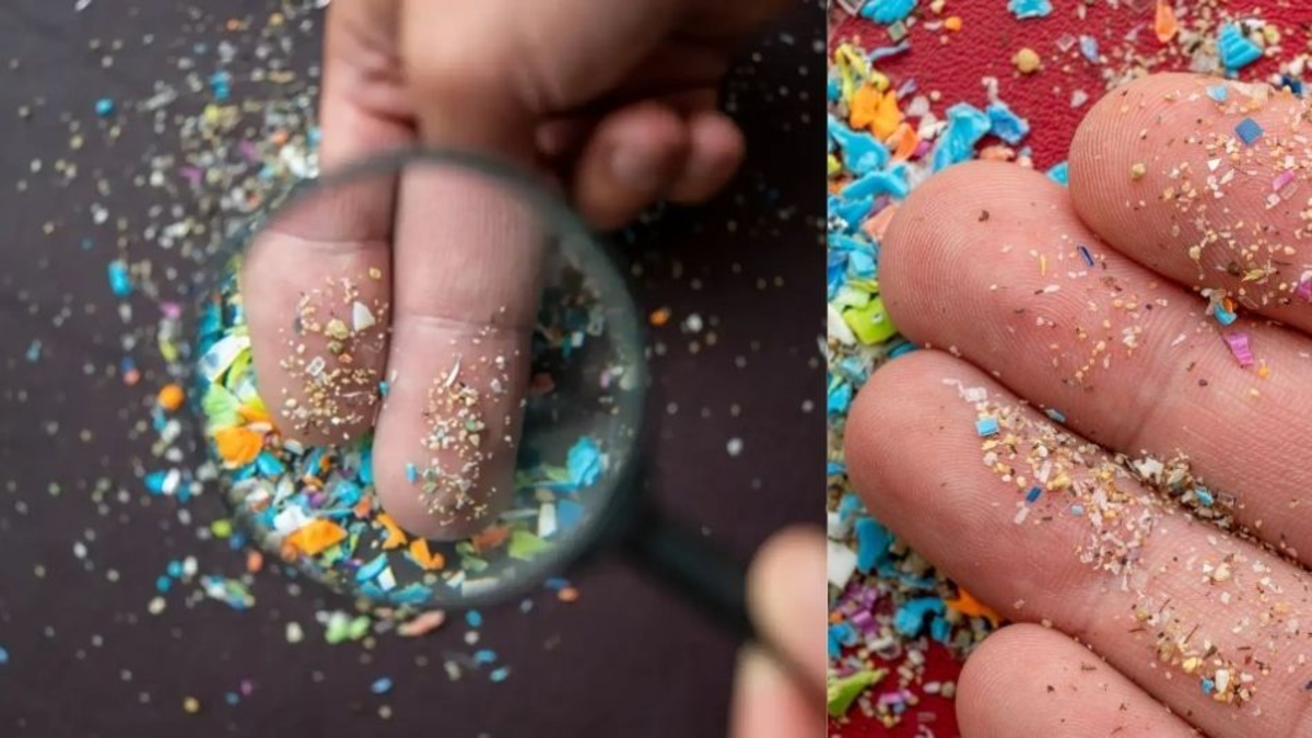 Microplásticos en el aire de hogares y carros: estudio advierte que la exposición es 100 veces mayor a lo estimado