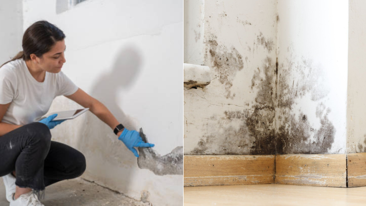 ¿Tiene humedad en casa y no sabe por qué? Identificar su origen y tipo es clave para evitar daños estructurales