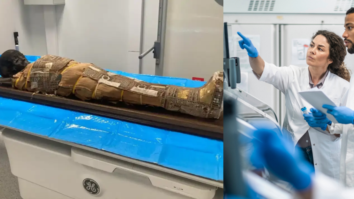 Científicos descubrieron un papiro oculto bajo las vendas de una momia egipcia de más de 2.000 años