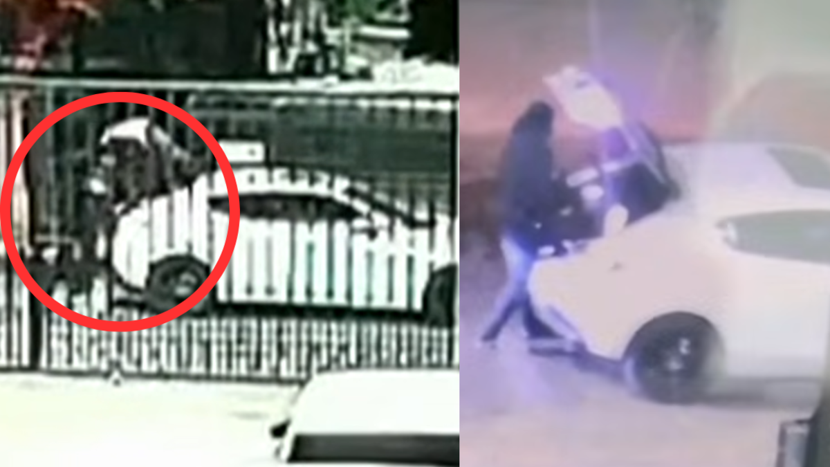 Video | Joven músico murió arrollado por su propio amigo, quien intentaba escapar de un hurto: ladrones le apuntaron con armas de fuego