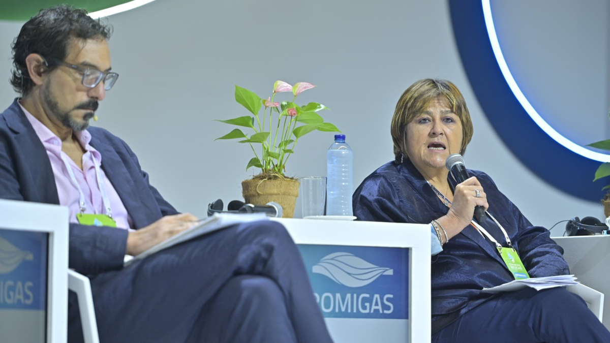 Los tres ‘mandamientos’ de Grupo Aval para otorgar créditos al sector energético: advierte riesgos por incertidumbre