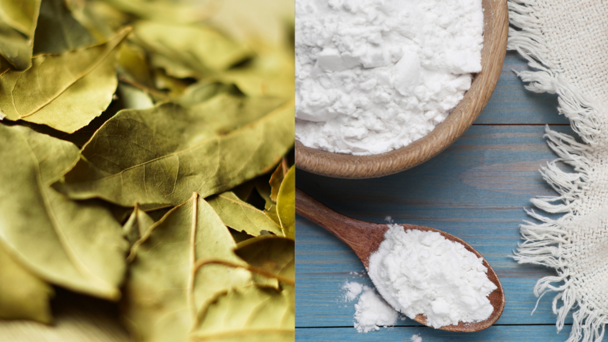 Por qué recomiendan mezclar hojas de laurel con bicarbonato: una receta que tiene varias ventajas y usos en casa