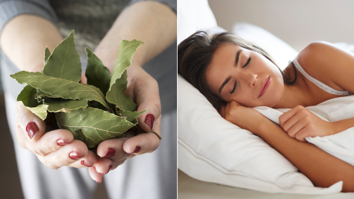 ¿Qué pasa si coloca hojas de laurel en la almohada? Esto explica el Feng Shui sobre su uso para dormir mejor