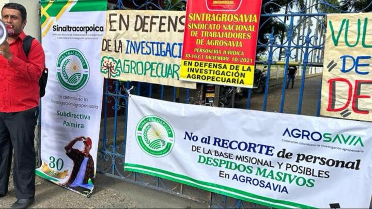 La rebelión pacífica de científicos en el Valle: temen por la estabilidad de la investigación agropecuaria en el departamento y en el país