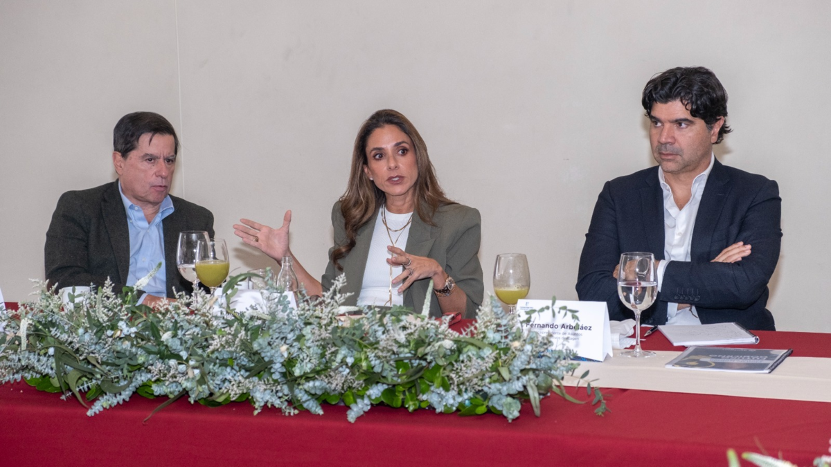 Campañas políticas ratifican que es urgente garantizar la oferta de energía en el país