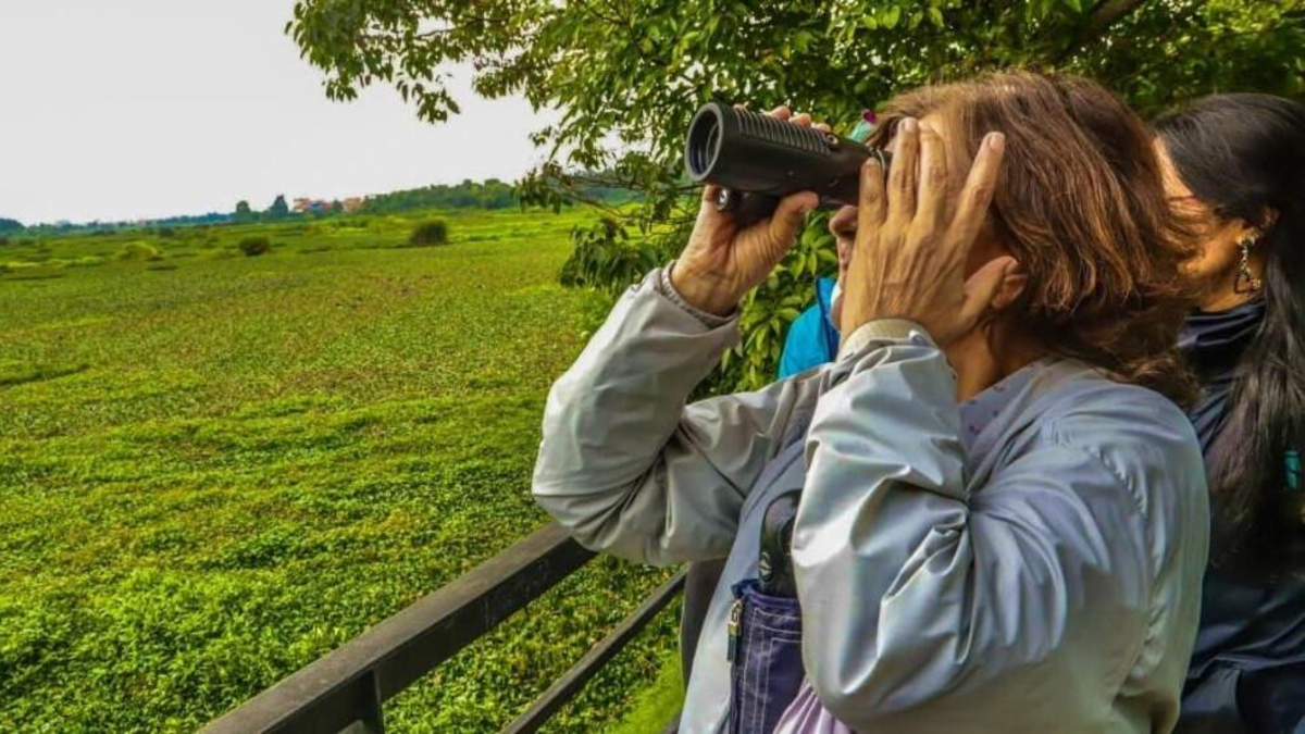Bogotá alista jornada simultánea de monitoreo de aves en humedales, bosques y cerros